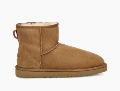 UGG Classic Mini Boots for Mens - Chestnut/Brown India
